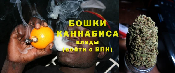 ПСИЛОЦИБИНОВЫЕ ГРИБЫ Покровск