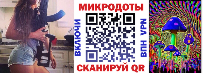 где продают Курильск Псилоцибиновые грибы Cubensis